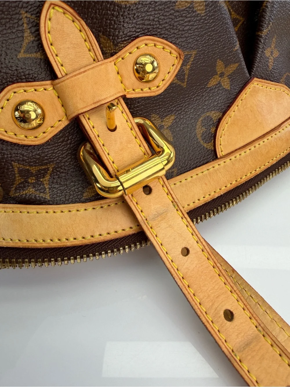 Louis Vuitton authentic louis